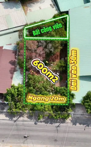Bất động sản tại Bình Dương - ảnh 1