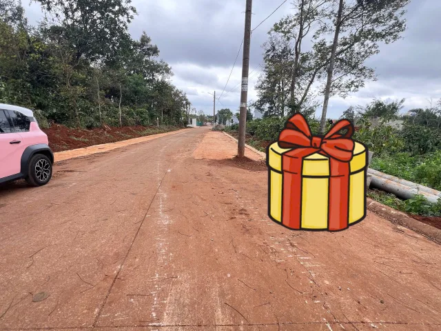 Bất động sản tại Đắk Lắk - ảnh 1