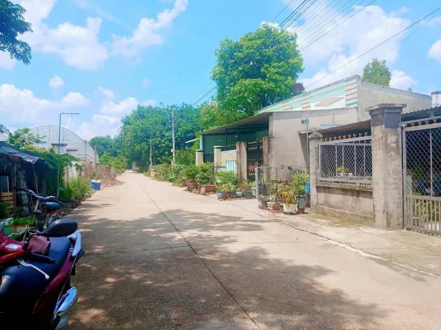 Bất động sản tại Bình Dương - ảnh 1
