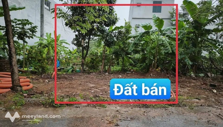 Bất động sản tại Vĩnh Phúc - ảnh 1