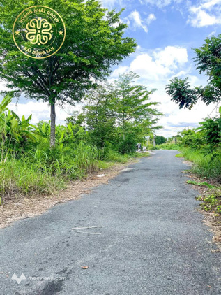 Bất động sản tại Cà Mau - ảnh 1