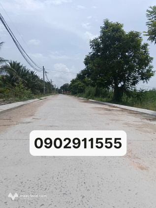Bất động sản tại Long An - ảnh 1