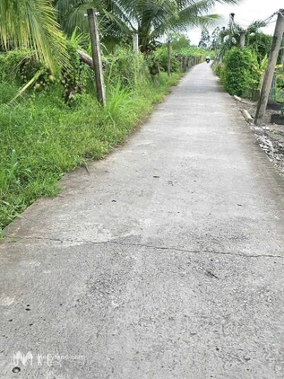 Bất động sản tại Long An - ảnh 1