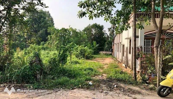 Bất động sản tại Bình Dương - ảnh 1