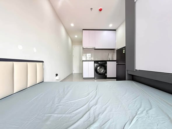 Bất động sản tại TP. Hồ Chí Minh - ảnh 1