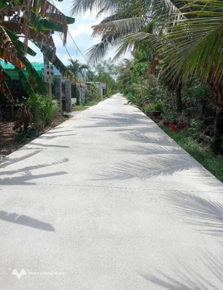 Bất động sản tại Long An - ảnh 1