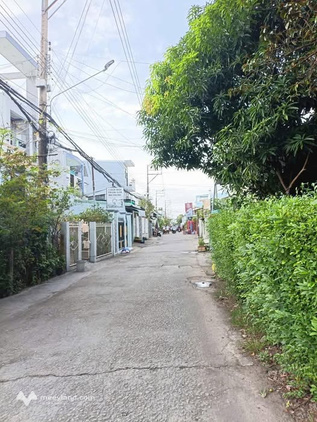 Bất động sản tại An Giang - ảnh 1