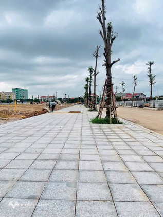 Bất động sản tại Bắc Ninh - ảnh 1