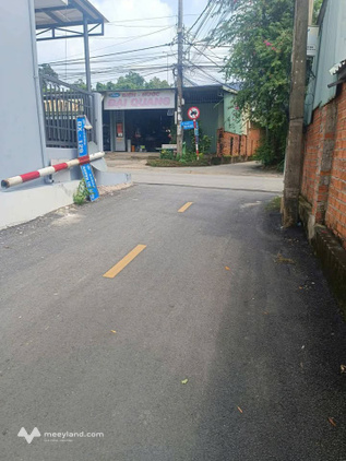 Bất động sản tại Bình Dương - ảnh 1
