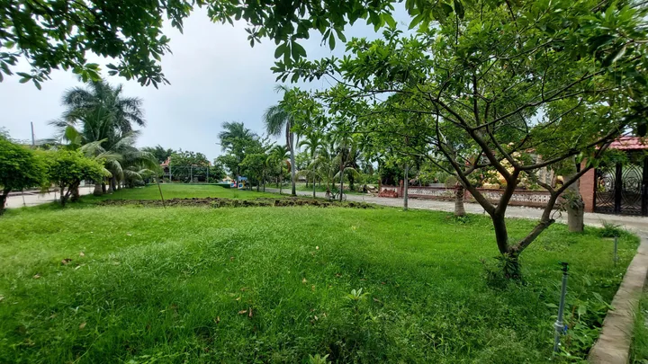 Bất động sản tại TP. Hồ Chí Minh - ảnh 1