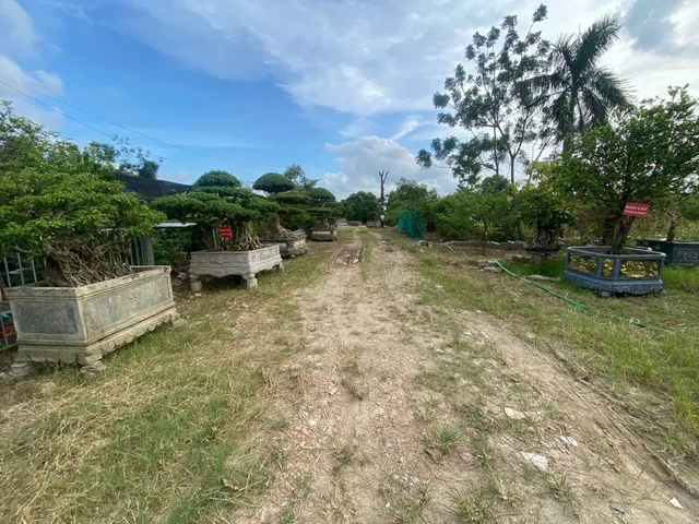 Bất động sản tại Bắc Ninh - ảnh 1