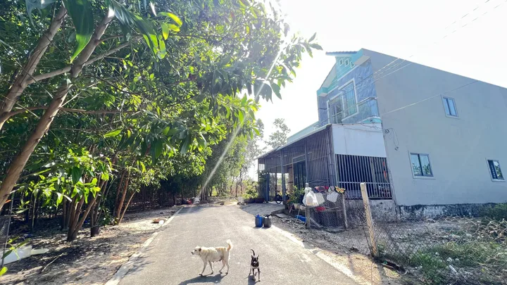 Bất động sản tại Bà Rịa - Vũng Tàu - ảnh 1