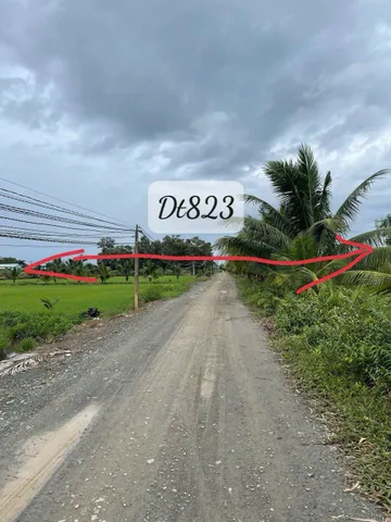 Bất động sản tại Long An - ảnh 1