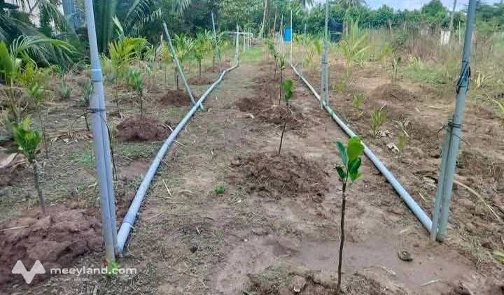 Bất động sản tại Bến Tre - ảnh 1
