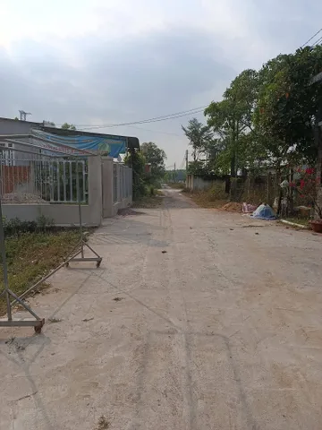 Bất động sản tại Đồng Nai - ảnh 1