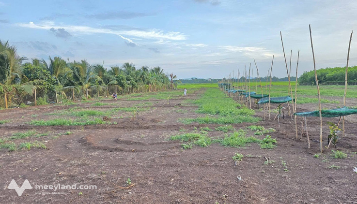 Bất động sản tại Bà Rịa - Vũng Tàu - ảnh 1