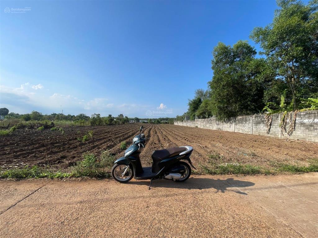 Bất động sản tại Bà Rịa - Vũng Tàu - ảnh 1