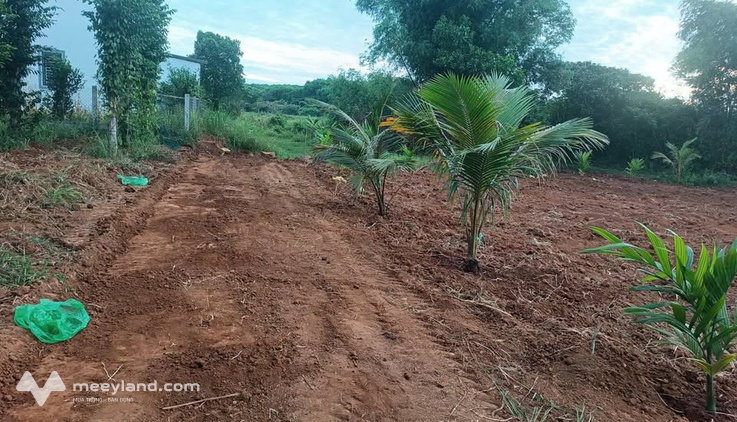 Bất động sản tại Quảng Trị - ảnh 1