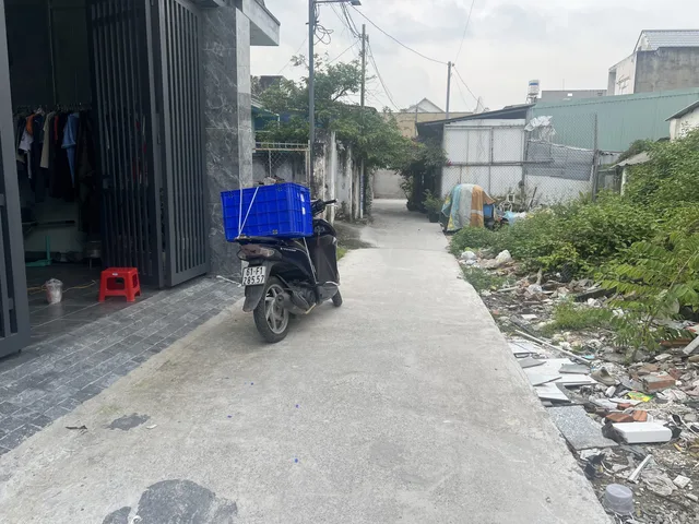 Bất động sản tại Bình Dương - ảnh 1