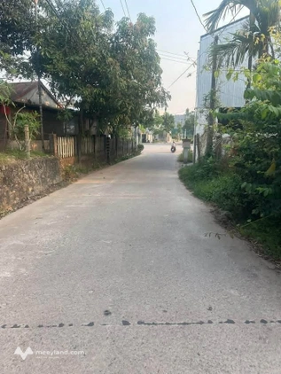 Bất động sản tại Thừa Thiên Huế - ảnh 1