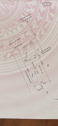 Bất động sản tại Bình Dương - ảnh 1