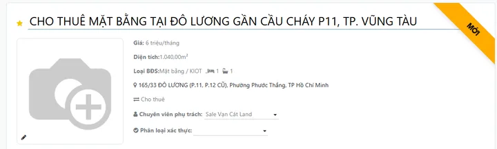 Bất động sản tại TP. Hồ Chí Minh - ảnh 1