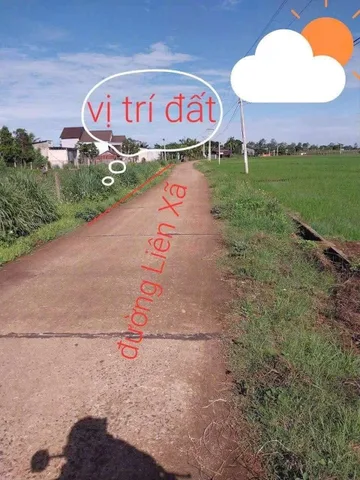 Bất động sản tại Đắk Lắk - ảnh 1