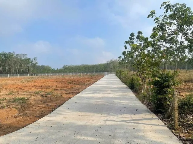 Bất động sản tại Bình Dương - ảnh 1