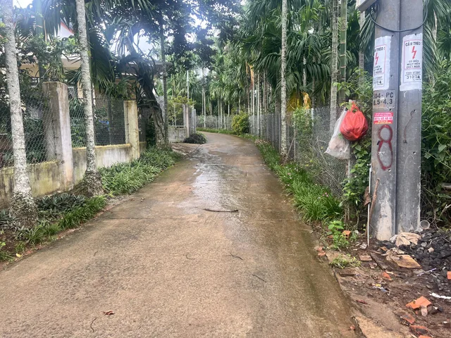 Bất động sản tại Đắk Lắk - ảnh 1