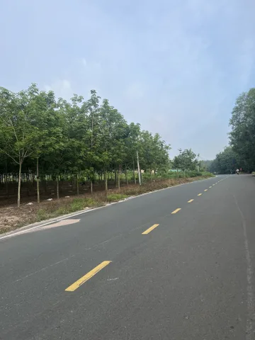 Bất động sản tại Bình Phước - ảnh 1