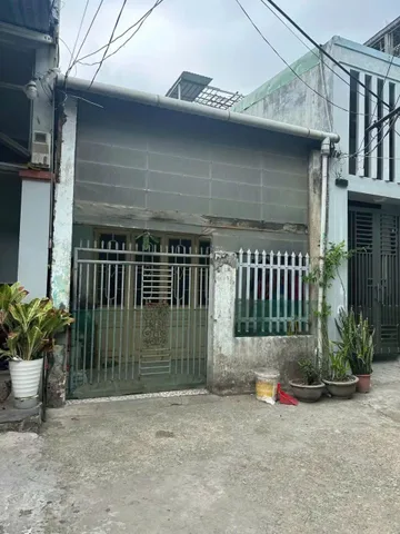 Bất động sản tại Đà Nẵng - ảnh 1