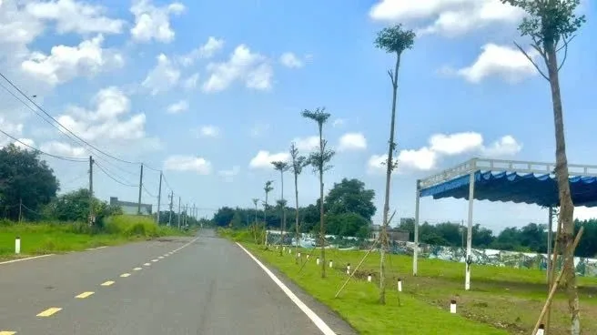 Bất động sản tại Đồng Nai - ảnh 1
