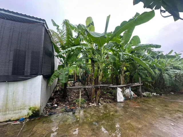 Bất động sản tại Hải Phòng - ảnh 1