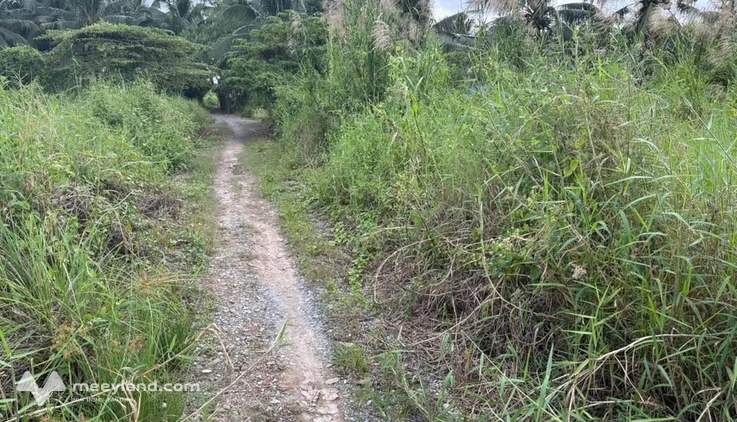 Bất động sản tại Cà Mau - ảnh 1