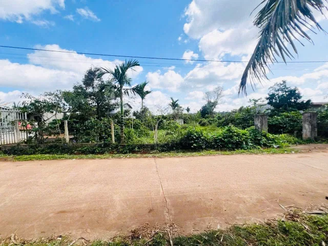 Bất động sản tại Đắk Lắk - ảnh 1
