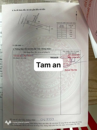 Bất động sản tại Bà Rịa - Vũng Tàu - ảnh 1