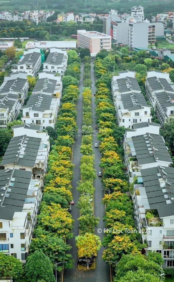 Bất động sản tại Hưng Yên - ảnh 1