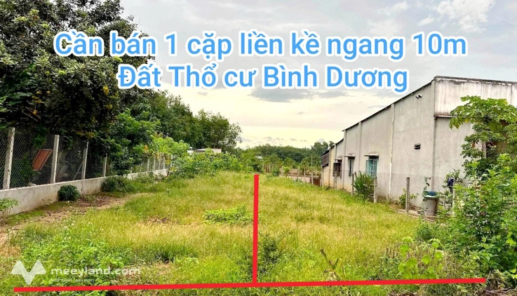 Bất động sản tại Bình Dương - ảnh 1