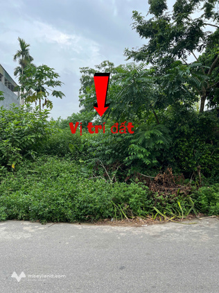 Bất động sản tại Vĩnh Phúc - ảnh 1