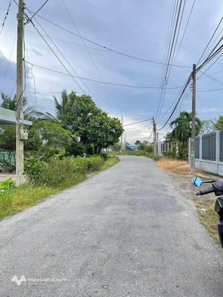 Bất động sản tại Long An - ảnh 1