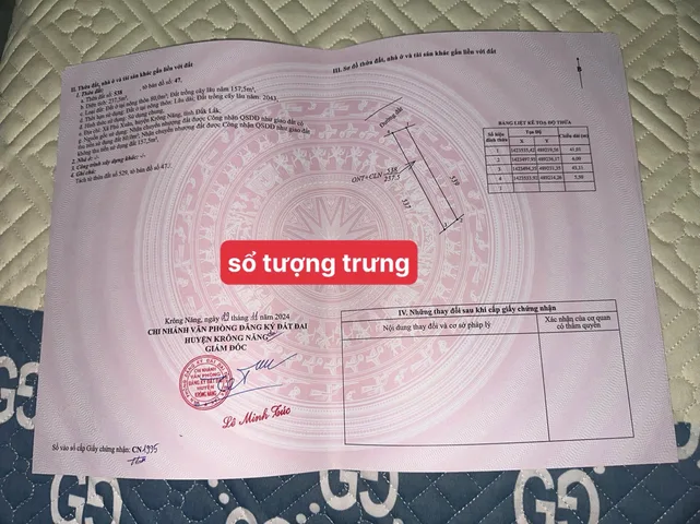 Bất động sản tại Đắk Lắk - ảnh 1