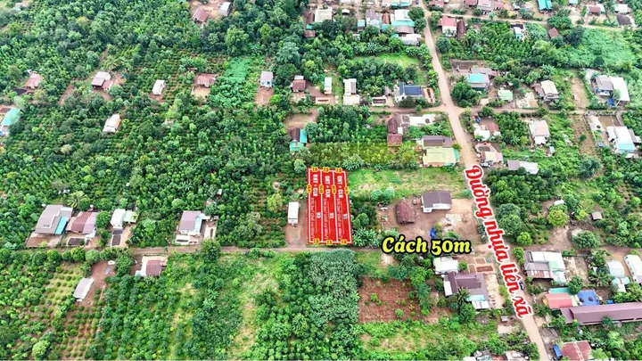 Bất động sản tại Đắk Lắk - ảnh 1