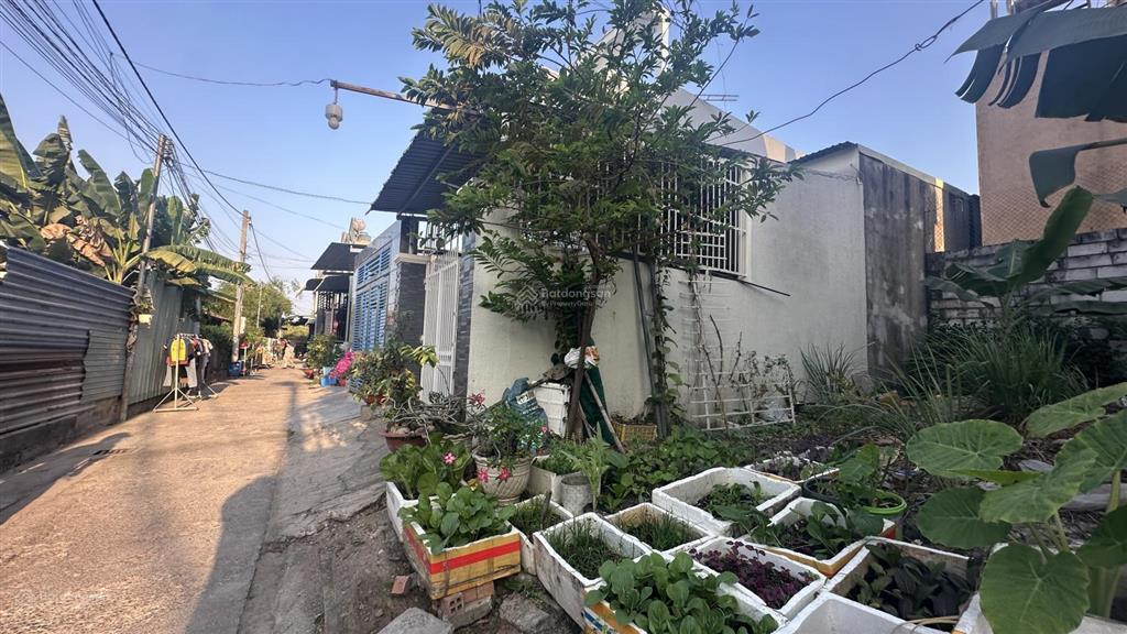 Bất động sản tại Bình Dương - ảnh 1