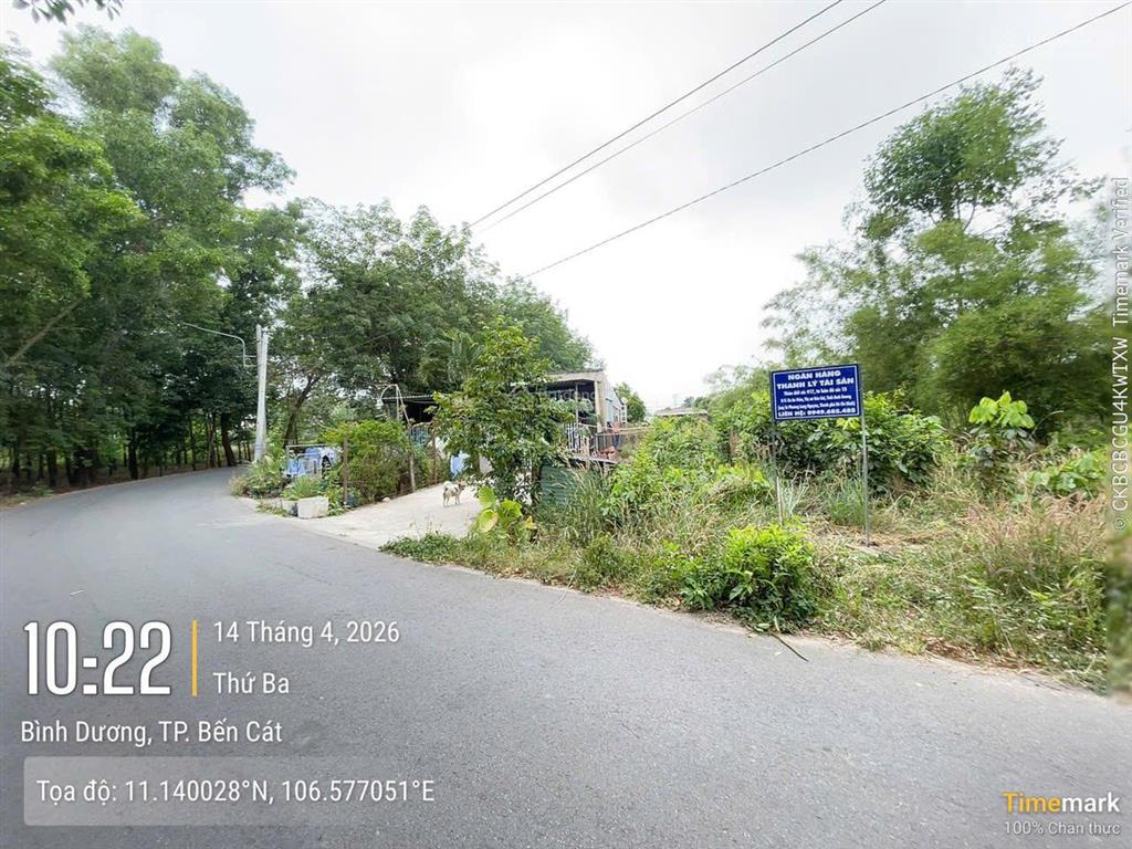 Bất động sản tại Bình Dương - ảnh 1
