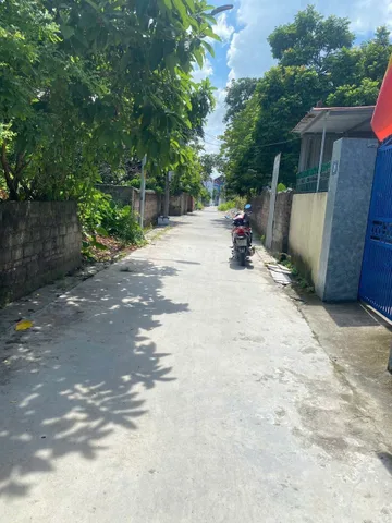 Bất động sản tại Hải Phòng - ảnh 1