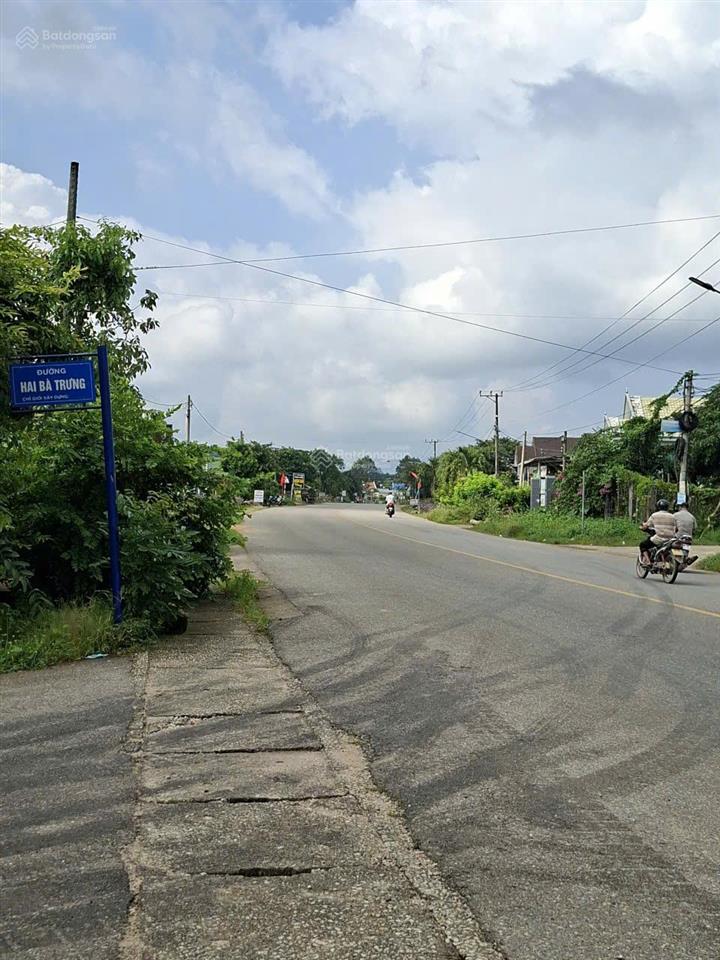 Bất động sản tại Long An - ảnh 1
