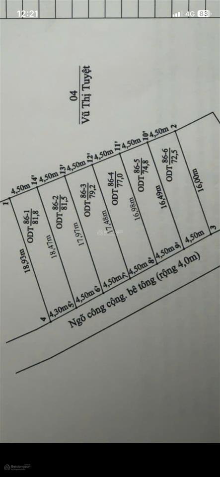 Bất động sản tại Hải Phòng - ảnh 1
