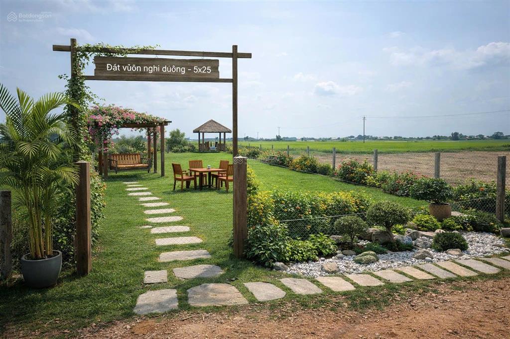 Bất động sản tại Long An - ảnh 1