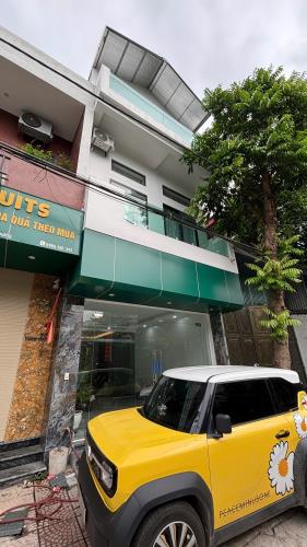 Bất động sản tại Vĩnh Phúc - ảnh 1