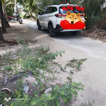 Bất động sản tại Bến Tre - ảnh 1